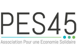 Logo PES 45
