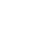 Public local