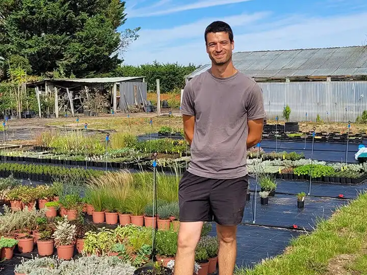 Florent Nolleau, Collections botaniques